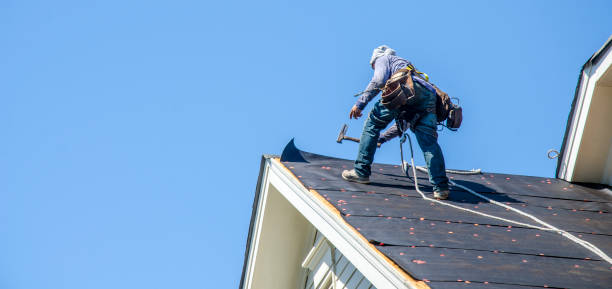 Best Roof Maintenance Services  in Richwood, OH